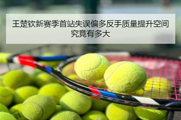 王楚钦新赛季首站失误偏多反手质量提升空间究竟有多大